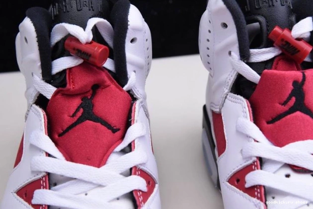 Rep 6 'CARMINE' JORDAN RETRO CT8529-106 2021 AIR 0825